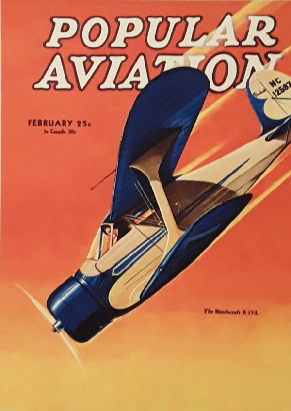 Stan York Poster 02